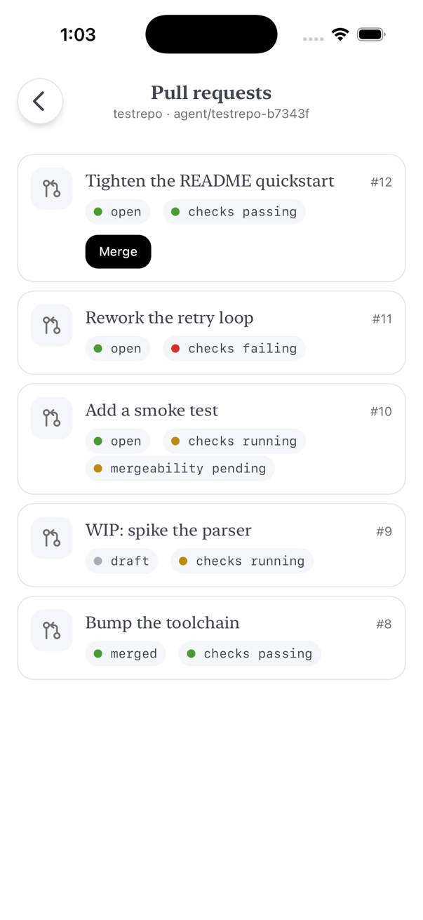 The Pull requests screen for one chat’s branch: five cards. #12 is open with checks passing and offers a Merge button; #11 is open with checks failing and says why merging is not offered; #10 is waiting on GitHub to work out whether it can merge; #9 is a draft; #8 is already merged.